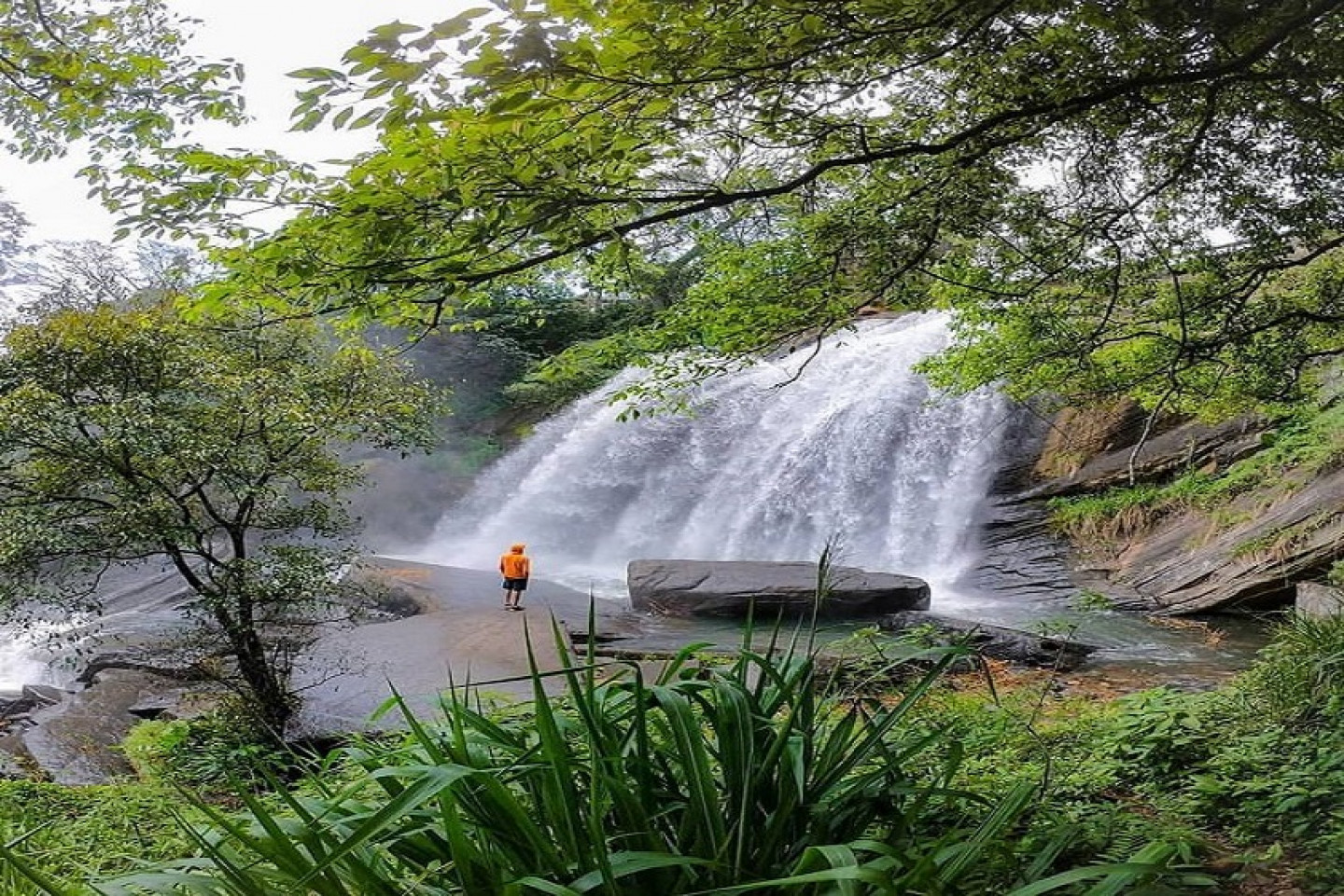 Exploring waterfalls in Knuckles Mountain Range - 2 Nights and 3 Days Tour